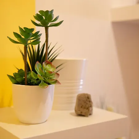 Appartement Ocean View Or426