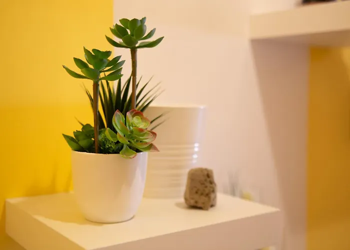 Lägenhet Ocean View Or426